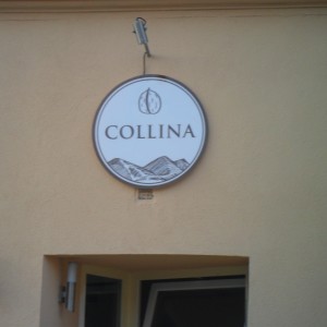 Collina - Wien