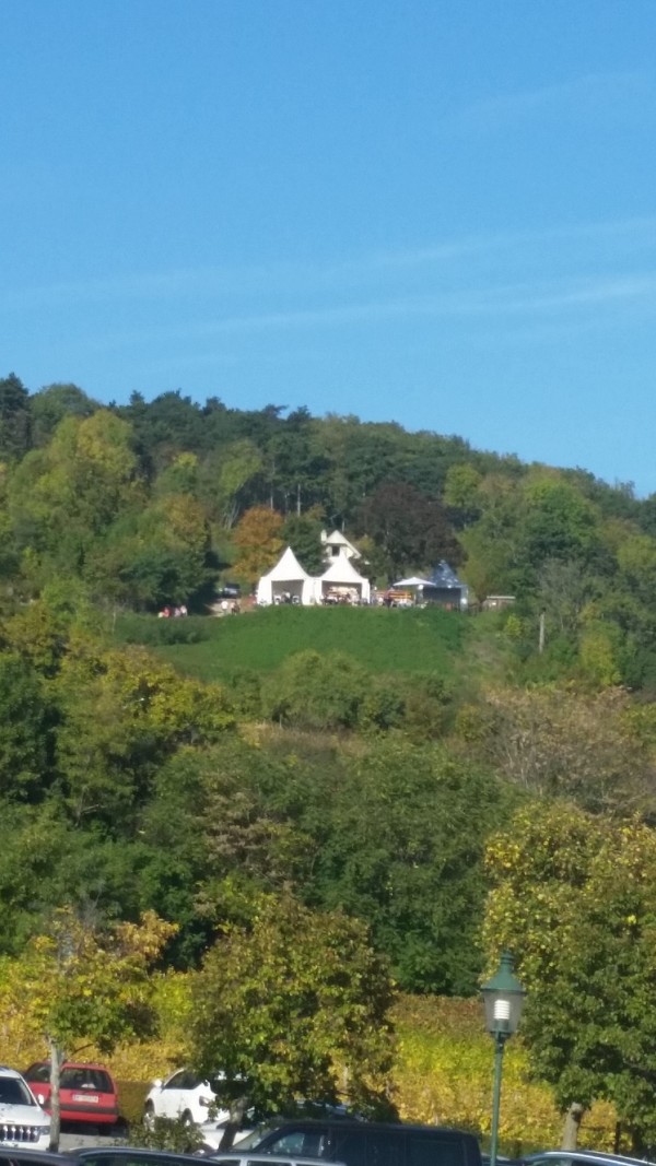 Blick vom Parkplatz - Krug Hochkräutl - Gumpoldskirchen