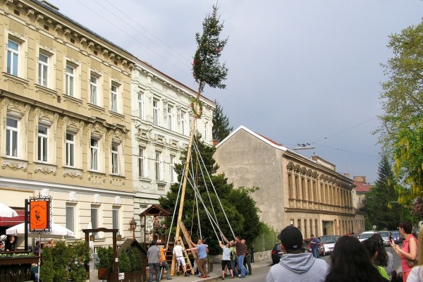 Maibaumaufstellen 2011 - Tiroler Alm - Wien