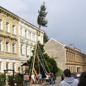 Maibaumaufstellen 2011 - Tiroler Alm - Wien
