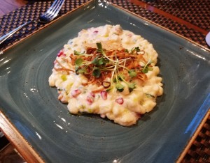 Spätzle "vier Käse", feine Sache - TERRA ROSSA - Wien