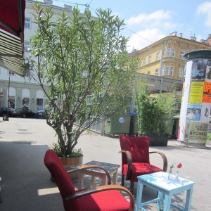 hier gibt es genügend Platz - nelke - café am markt - Wien
