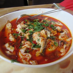 Amurkarpfen, ein Fisch aus China, in einem würzigen Sud mit viel Chiliöl, Gurken - Feine Sichuan Küche - Wien