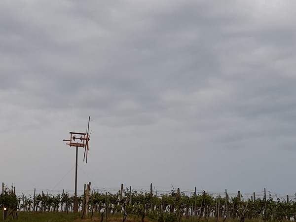 Weingut Buschenschank Bernhart - Riegersburg