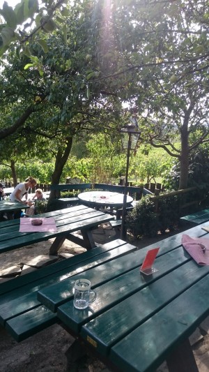 Gastgarten - Weinhof Zimmermann - Wien