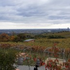 Dieser traumhafte Blick auf Wien, da ist er wieder - Weingut Wailand - Wien