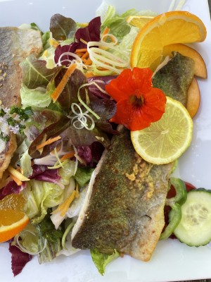 Salat mit Forellenfilet - Orthofer - Sankt Jakob im Walde