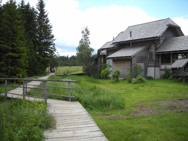 Latschenhütte - Teichalm