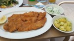 Wiener Schnitzel - Palmenhaus im Burggarten - Wien