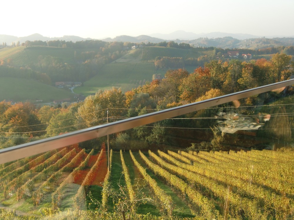 Herbstlicher Ausblick in die Weingärten - Weinhof Nekrep - Gamlitz