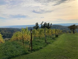 Maurer am Hohenberg - Gleisdorf