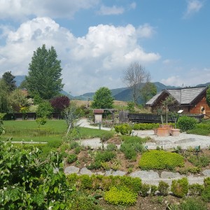 Garten mit Natur-Badeteich
