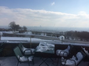 Blick auf den Gastgarten / Aussicht über Wien - Cafe Cobenzl - Wien