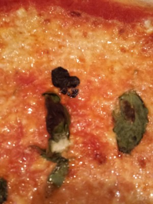 Pizza Margherita - That's Amore - Wien
