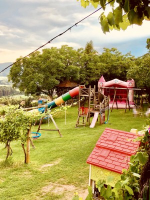 Kinderspielplatz - Buschenschank Schleiss - Kaindorf