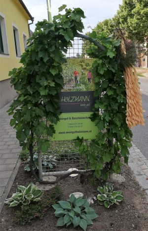 Buschenschank Holzmann