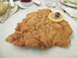 Wiener Schnitzel vom Kalb (Schweineschmalz) - Meissl & Schadn - Wien