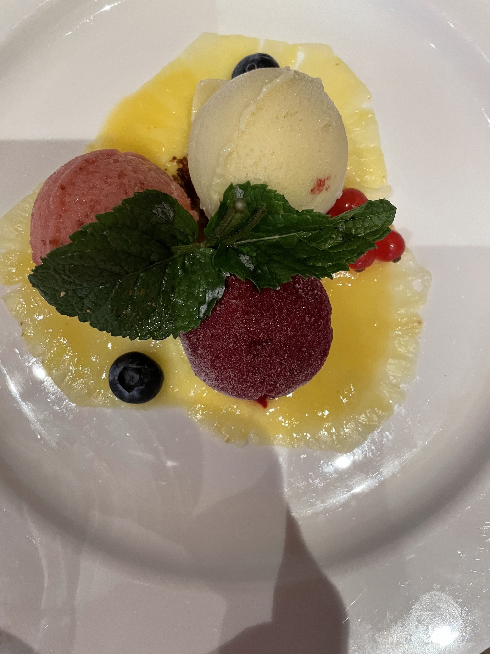 Dreierlei Sorbet - Die Wasnerin - Bad Aussee