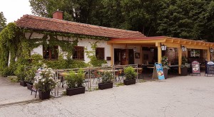 Wirtshaus D'Schani - Steyr