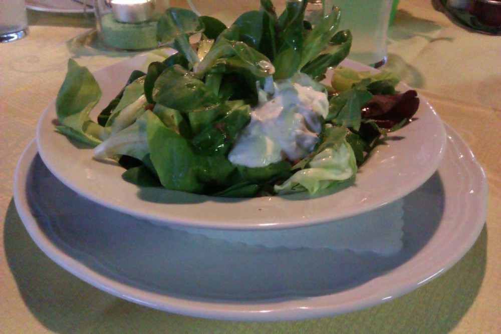 Blattsalate mit Joghurtdressing - Forellenschenke - Viktring