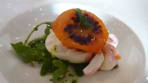 Burrata mit Tamarillo