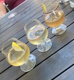 Kombucha- Kostproben - Wildling Foods - Wien