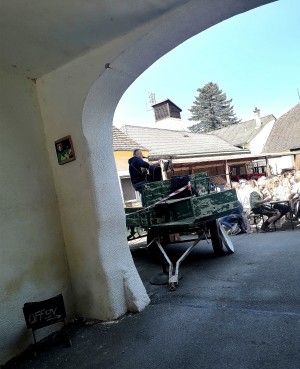 Der Musiker hoch am Anhänger, die Gäste im gut gefüllten Innenhof.... - Wiesmayer - 2332 Hennersdorf