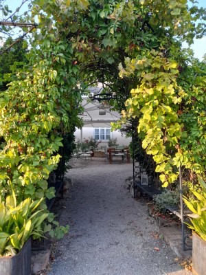 Gasthof Pension Wildenauer - Biedermannsdorf