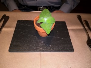Eder Wohlfühl Hotel - St. Kathrein am Offenegg