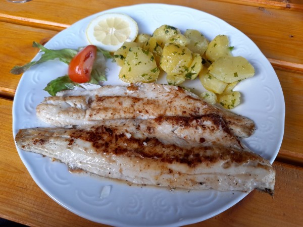 Gegrillter Zander - Gasthof am Holzschlag - Neuhaus