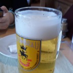 Seidl Helles Bier - Haydnbräu - Eisenstadt