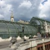 Palmenhaus im Burggarten