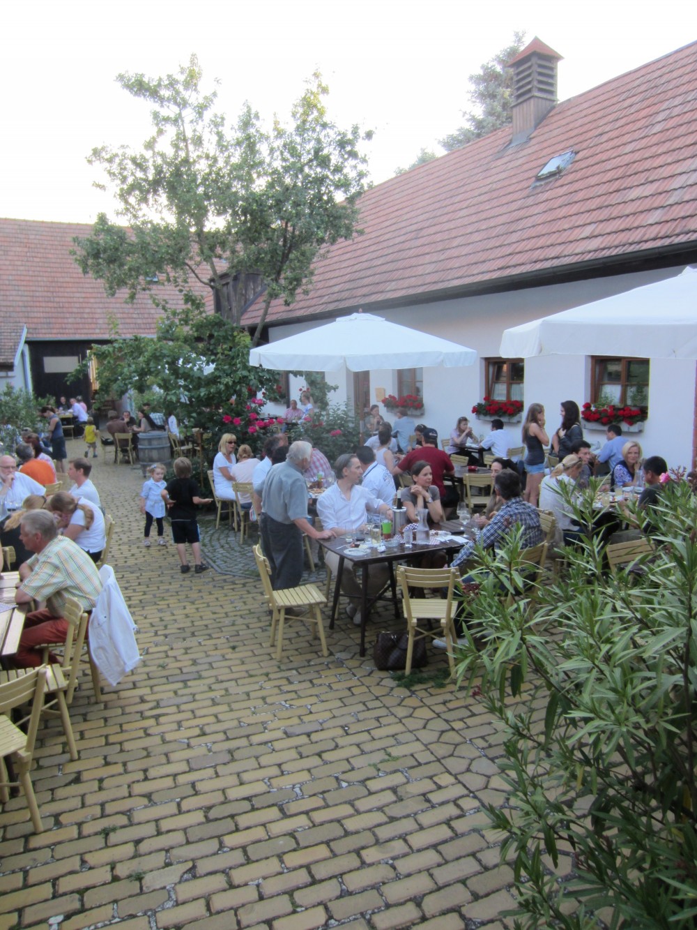 im Garten - ARTNER - Heuriger im alten Bauernhof - Höflein - Carnuntum