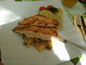 Gegrilltes Filet vom heimischen Bachsaibling, Spargelrisotto/Kerbelschaum