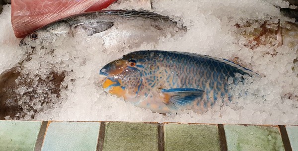 Molzbachhof Heringsschmaus: 
Papageienfisch, Branzino (?), Thunfisch, Seezunge - Molzbachhof - Kirchberg am Wechsel