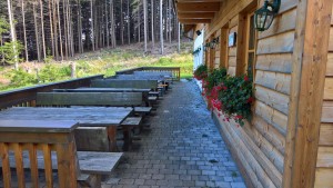 vor der Hütte..... - Hengsthütte - Puchberg / Schneeberg