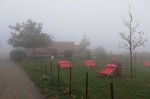 Um seinen Gipfel jagen Nebelschwaden..... :-) - Wieninger am Nußberg - Wien
