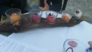 5 verschiedene Sorbets mit marinierten Früchten und Minze - Restaurant Weingut Nigl - SENFTENBERG