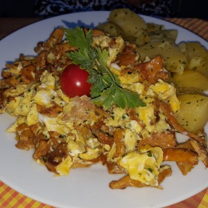 Geröstete Eierschwammerl mit Petersilerdäpfeln - SCHOTTEN - Heurigen-Restaurant - Maria Enzersdorf