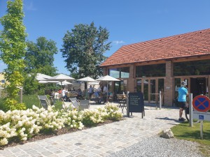 Gasthaus Ziegelwerk - Wimpassing a. d. Leitha