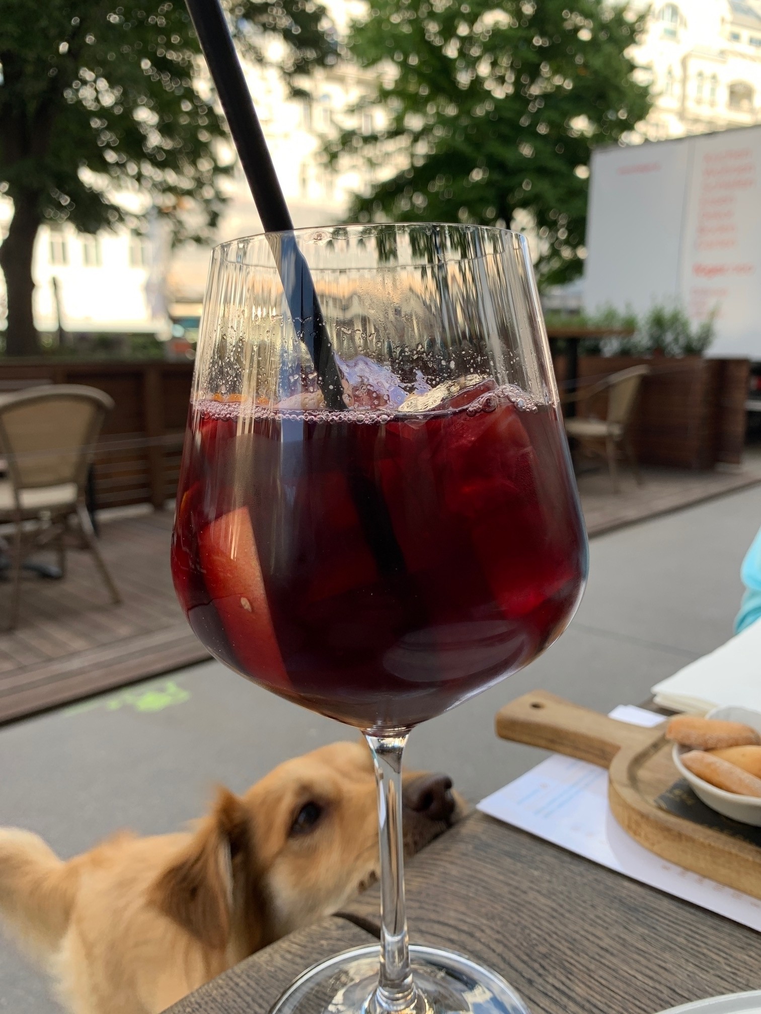 Sangria, wie immer großartig - Paco - Wien