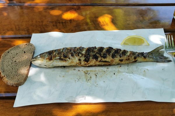 Trawögers Saibling vom Holzkohlengrill - exzellent - Trawöger-Dorfner﻿ Fischgrill - Altmünster