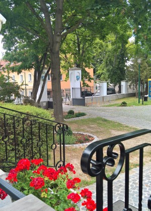 Der Blick von der Terrasse, da kommen sie rein die Gäst in den Schlosspark.