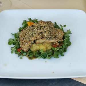 Forelle in knuspriger Kürbiskernpanier - sehr gut - etwas hinterher hinkt der Salat