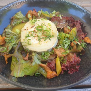 Leithaland-Salat | gratinierter Ziegenkäse | Eierschwammerl | Mango - Gasthaus Ziegelwerk - Wimpassing a. d. Leitha