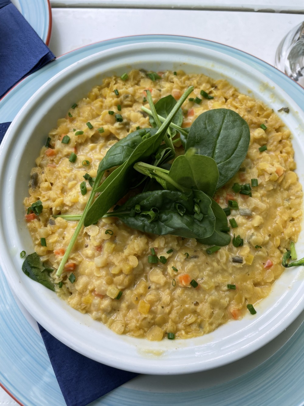 Linsencurry mit Spinat - Landtmann's Jausenstation Meierei Schönbrunn - Wien