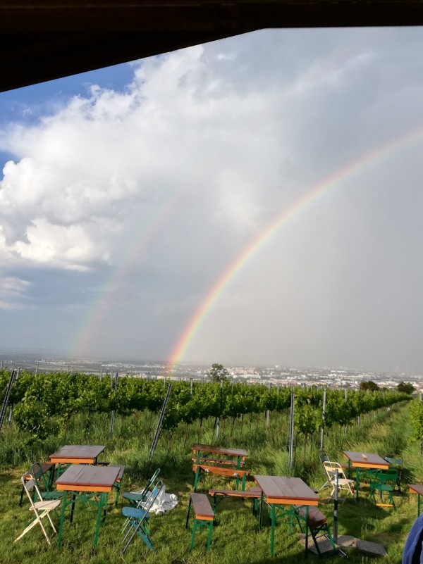 Unfassbar tolle Stimmung da gestern Abend oben am Nussberg.... - Monte Nucum - Wien