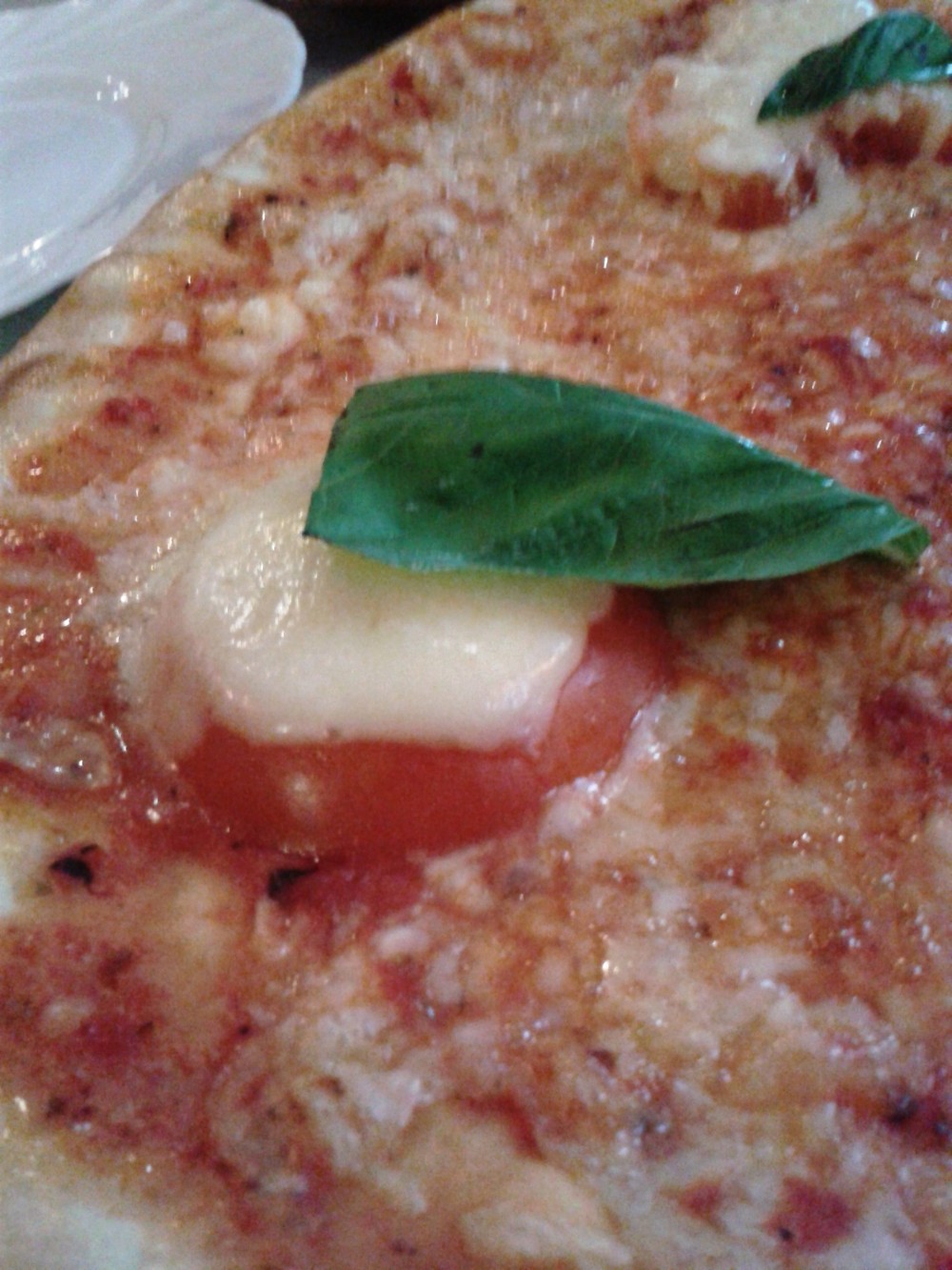 Frascati - Pizza Primavera (Tomatenscheiben, Mozzarella di Bufala & frischer ... - Pizzeria Frascati - Wien