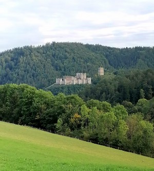 Mostschenke Grundtner (Weingartleitenhof) - Aigen Nr.53