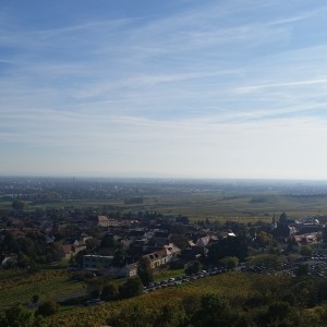 Panoramablick vom Hochkräutl - Krug Hochkräutl - Gumpoldskirchen